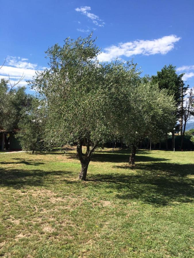 Fragolina Per Due Vakantiehuis *