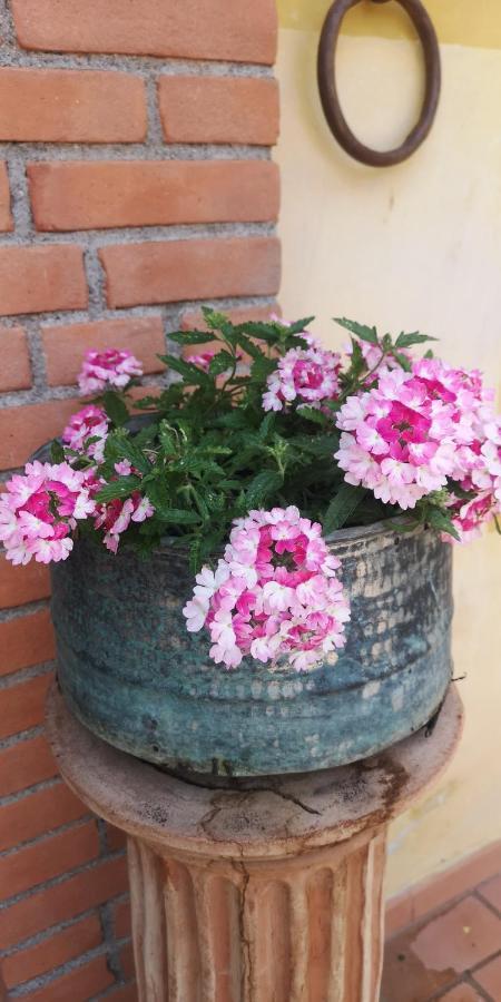 Fragolina Per Due Lucca